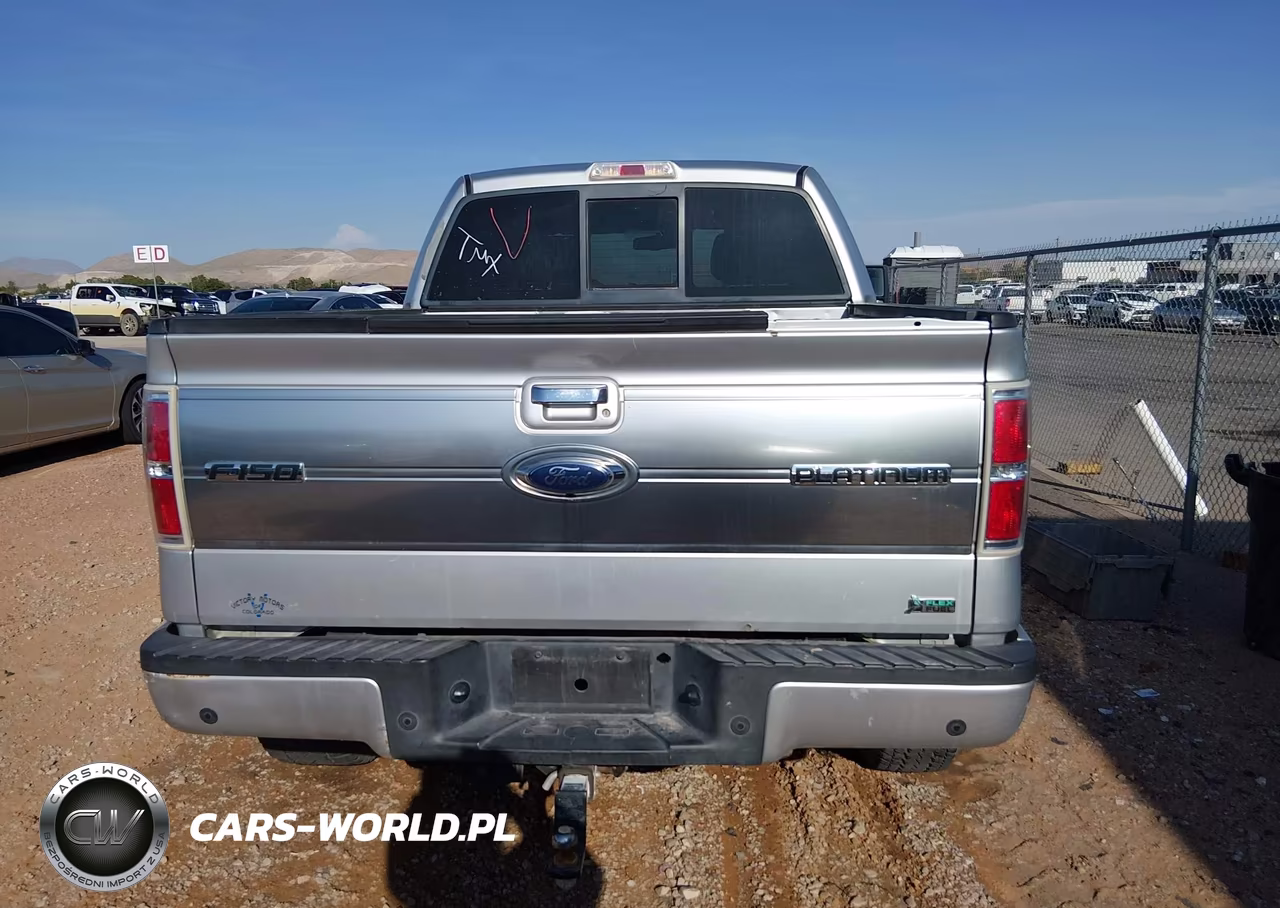 2010 Ford F-150 Fx4-Harley-Davidson-King Ranch-Lariat-Platinum-Xl-Xlt VIN:1FTFW1EV3AFB26130 - 16