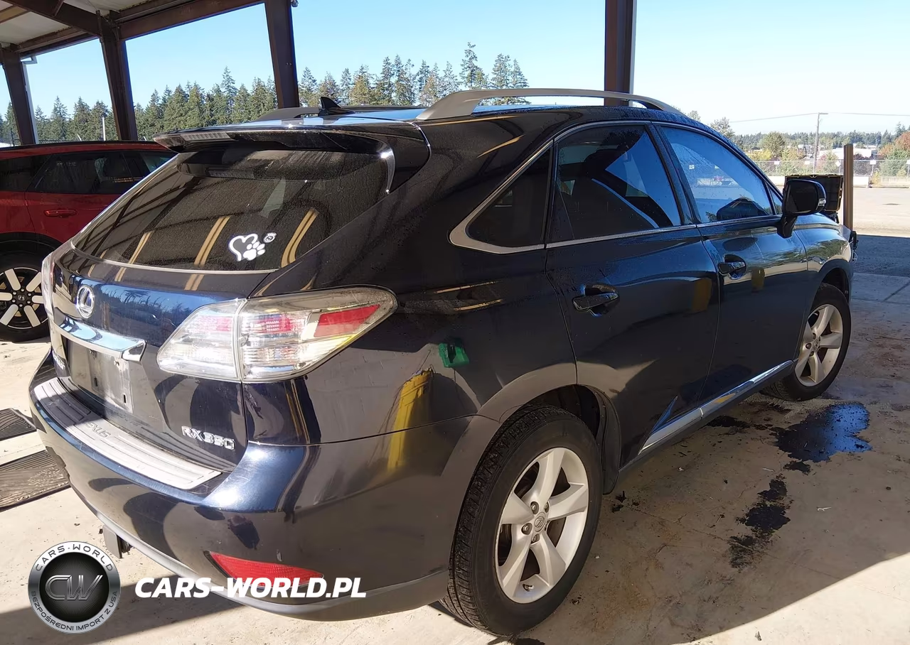 2010 Lexus Rx 350 VIN:2T2BK1BA8AC048895 - 4