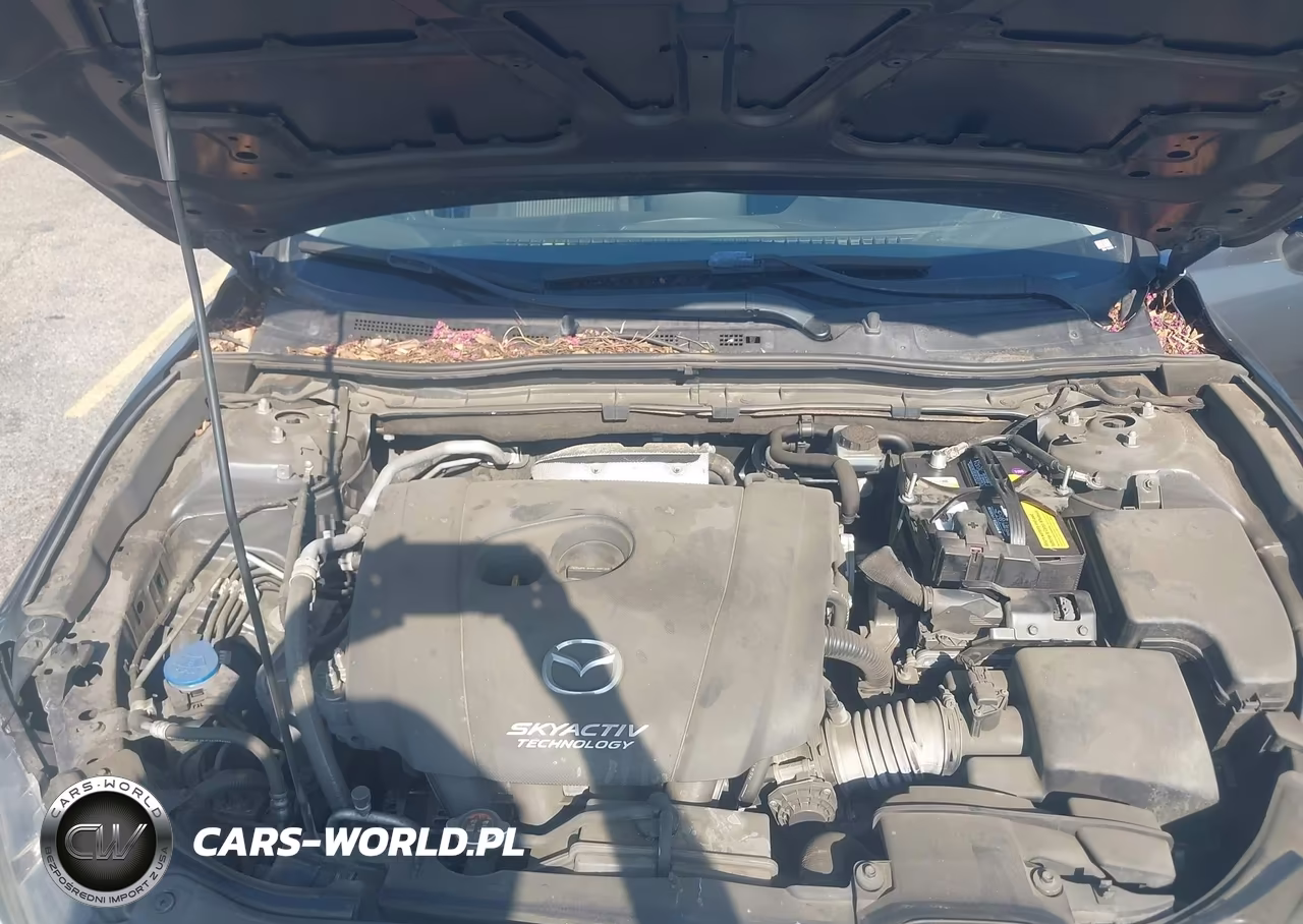 2016 Mazda Mazda3 I Sport VIN:JM1BM1U79G1326362 - 10