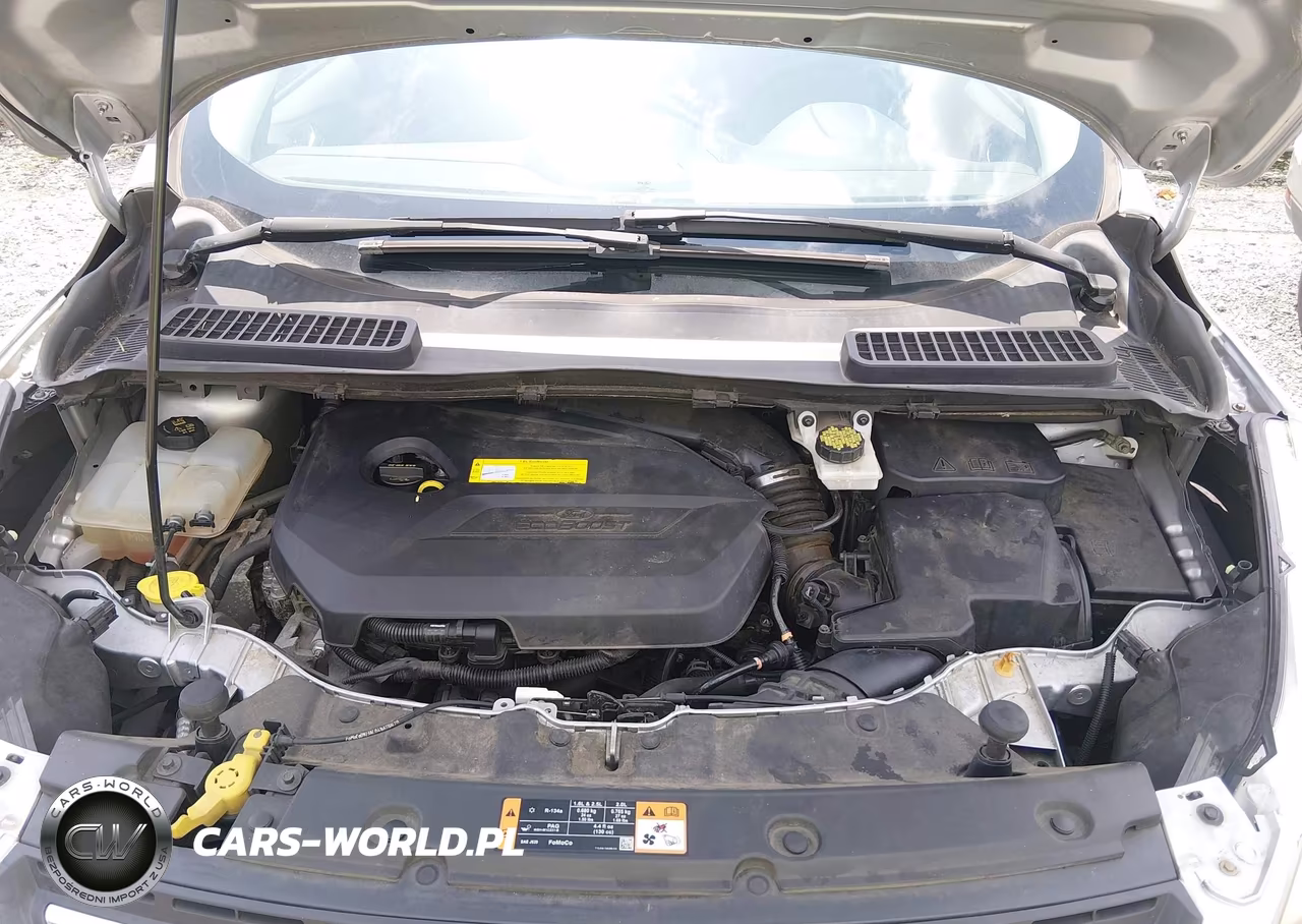 2016 Ford Escape Se VIN:1FMCU0GX4GUA76906 - 10