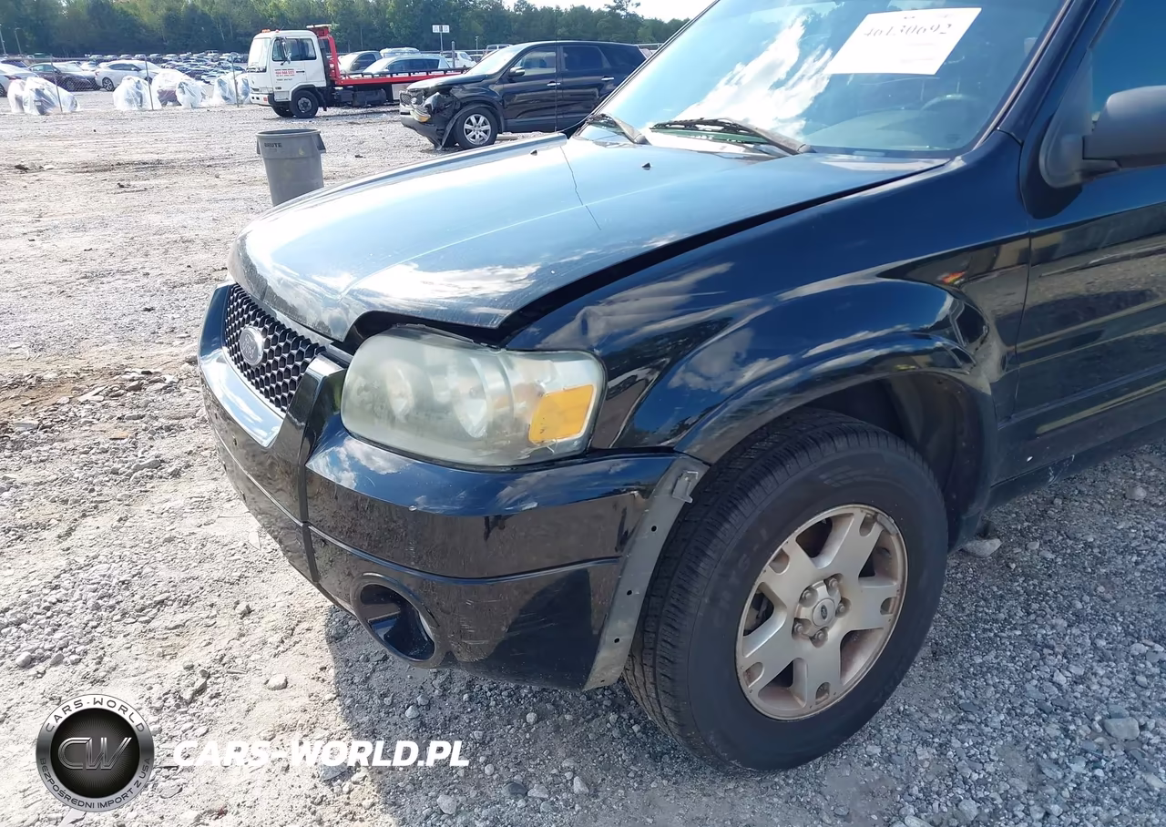 2007 Ford Escape Limited VIN:1FMYU94167KB95689 - 6