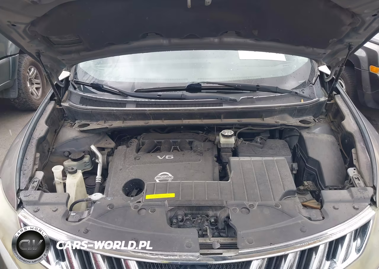 2010 Nissan Murano Sl VIN:JN8AZ1MW5AW106431 - 10
