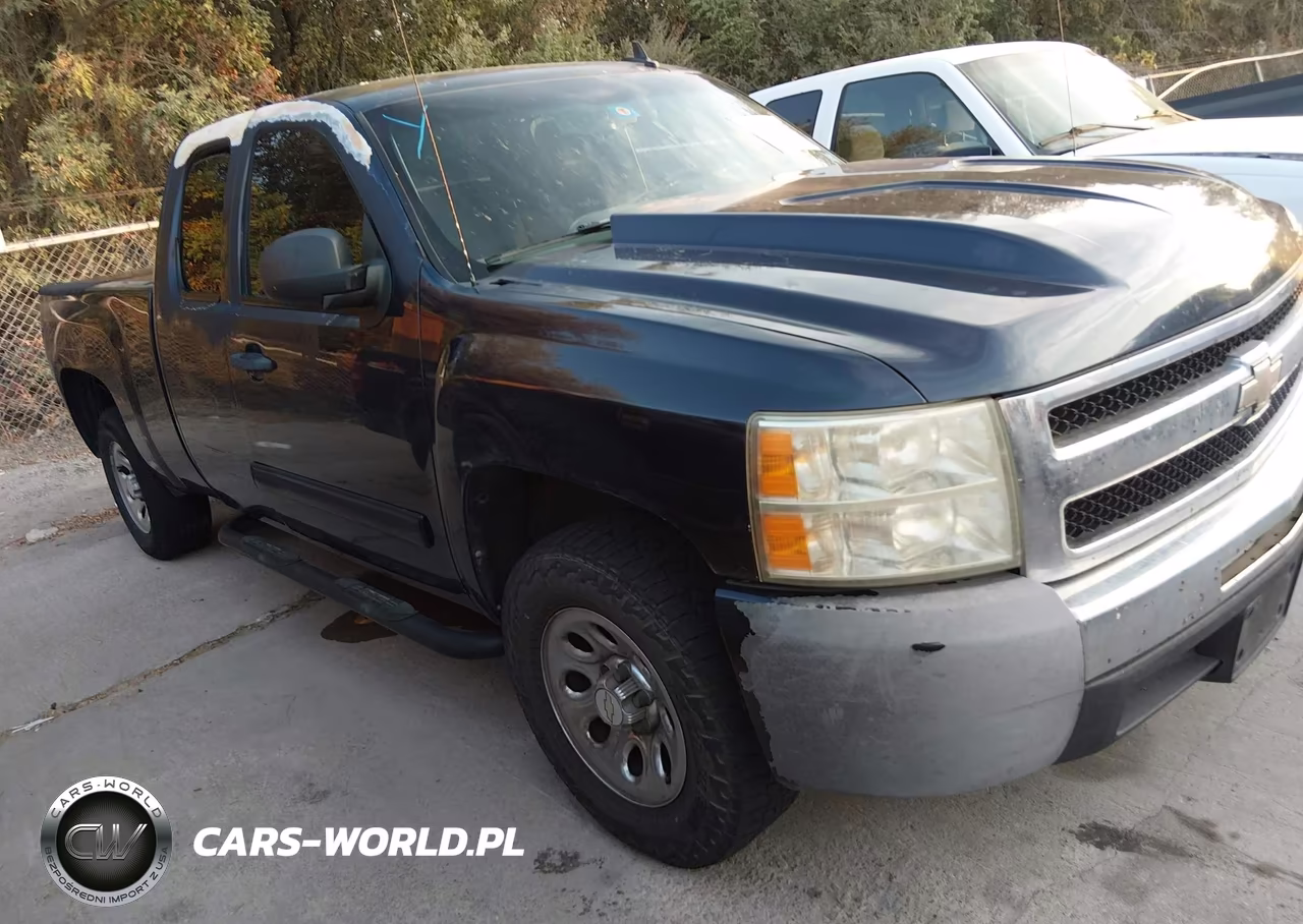 2010 Chevrolet Silverado 1500 Ls