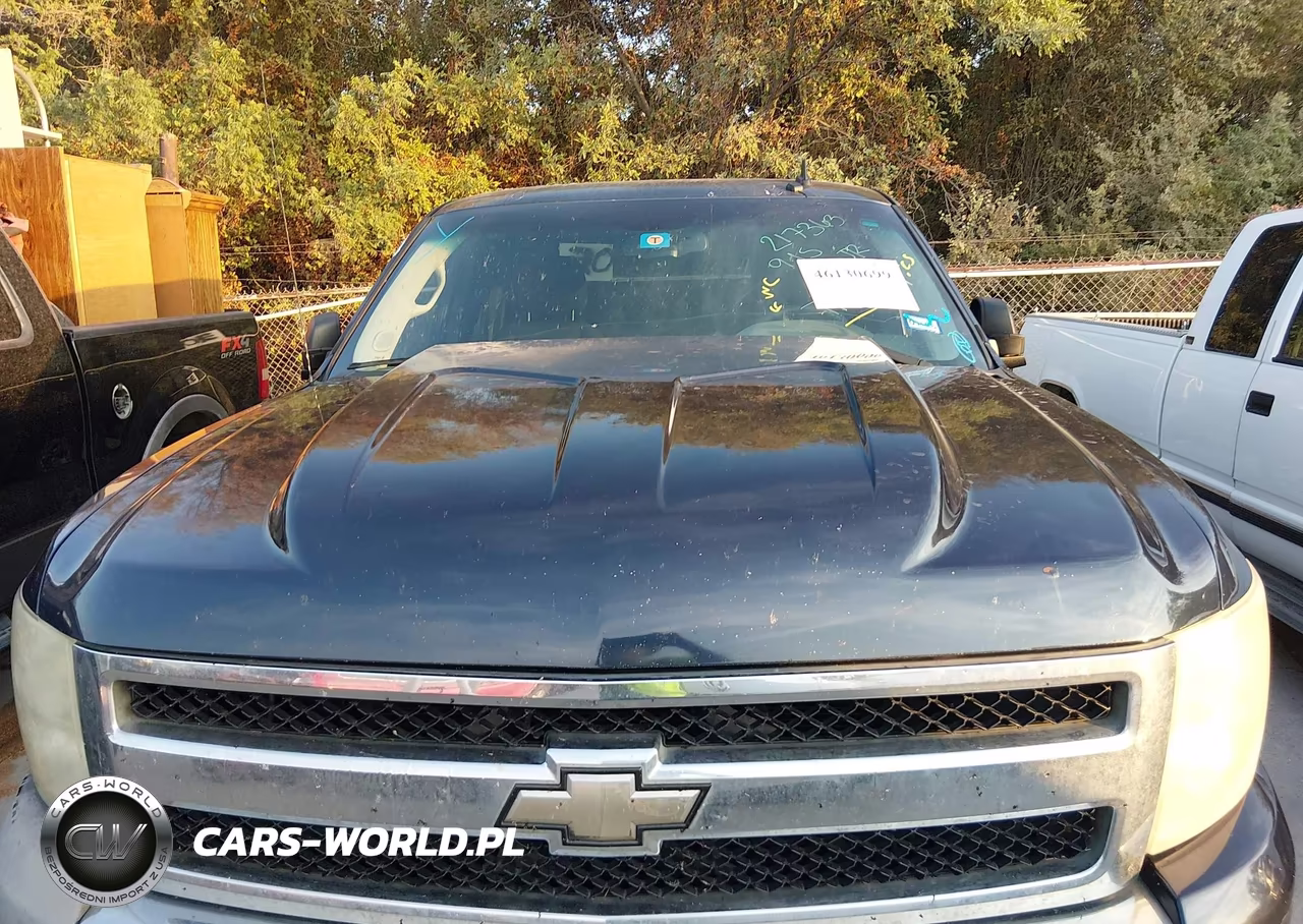 2010 Chevrolet Silverado 1500 Ls VIN:1GCSCREA8AZ217363 - 12