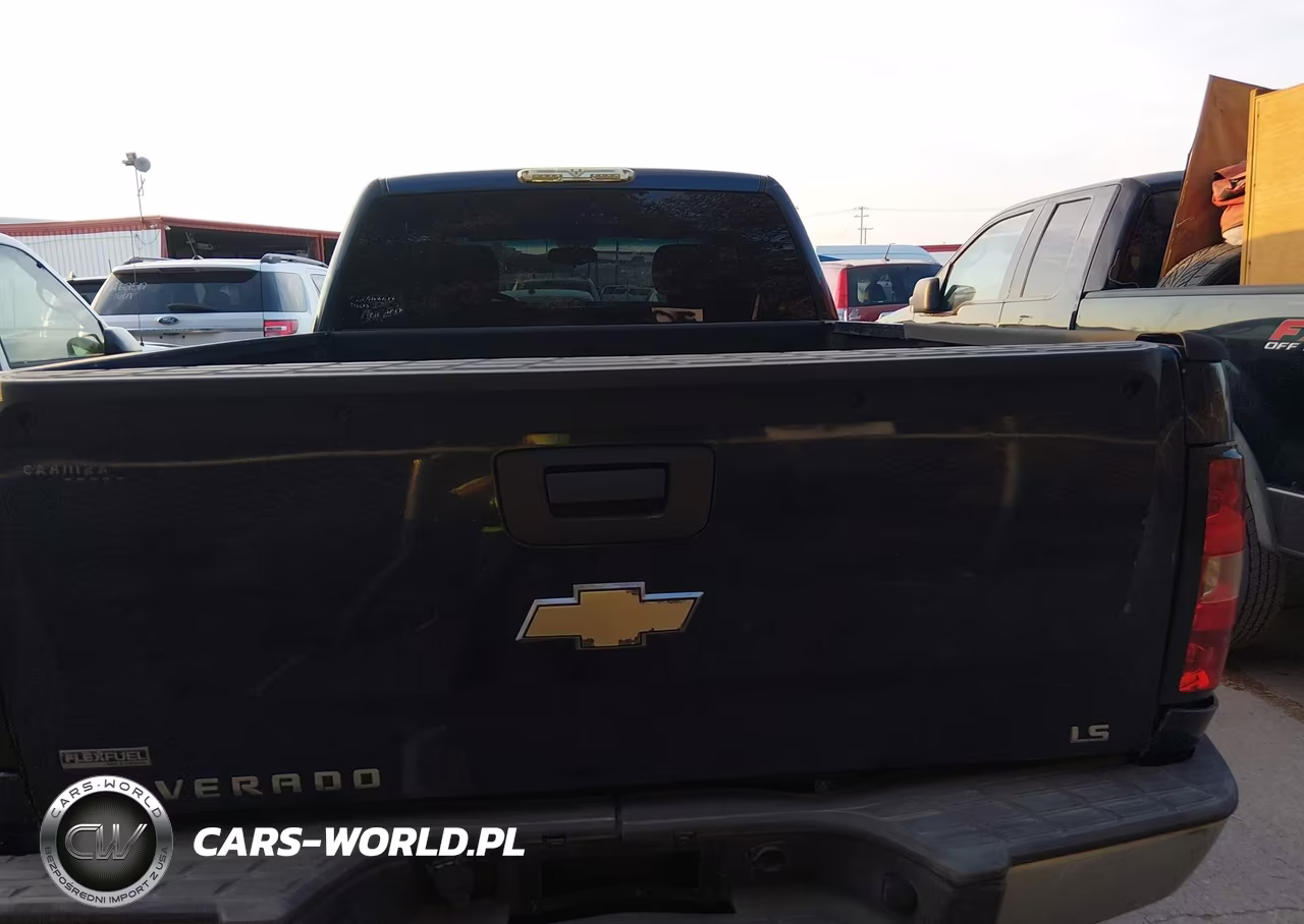 2010 Chevrolet Silverado 1500 Ls VIN:1GCSCREA8AZ217363 - 16