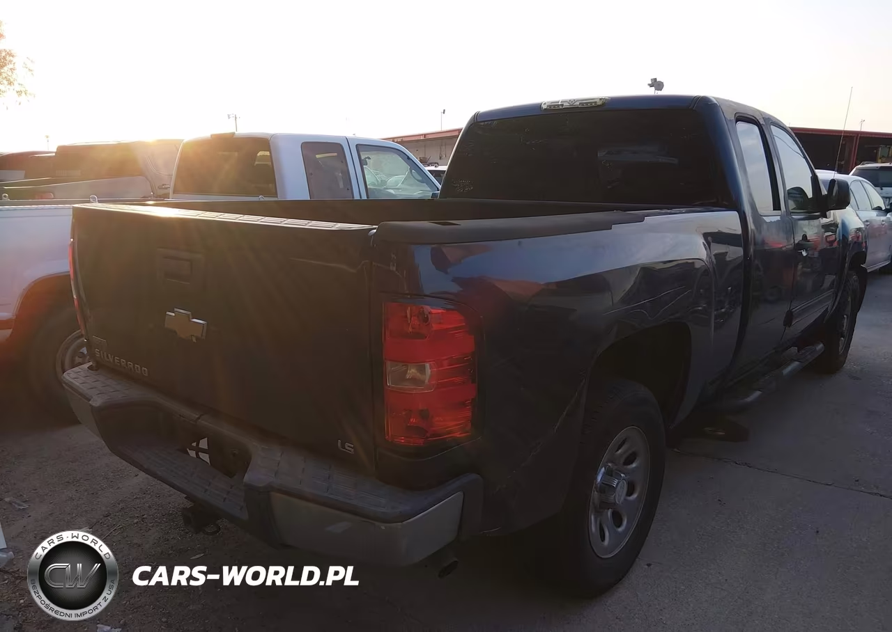 2010 Chevrolet Silverado 1500 Ls VIN:1GCSCREA8AZ217363 - 4