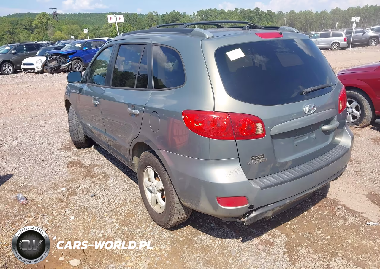 2007 Hyundai Santa Fe Gls VIN:KM8SG13D17U135575 - 3