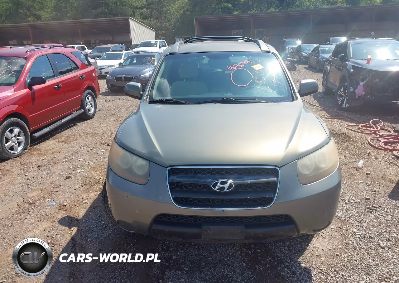 2007 Hyundai Santa Fe Gls VIN:KM8SG13D17U135575 - 6