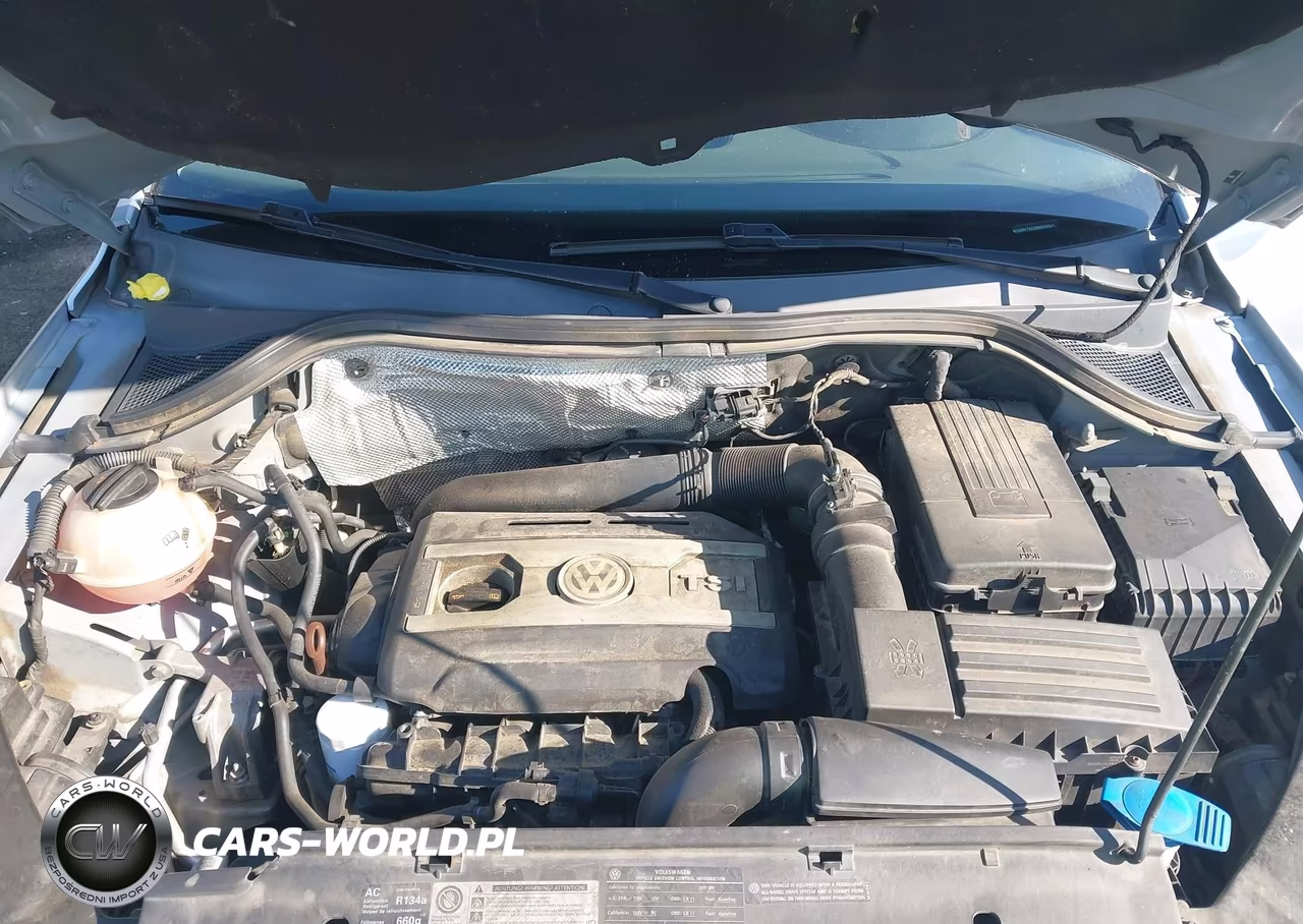 2011 Volkswagen Tiguan S VIN:WVGBV7AXXBW524945 - 10