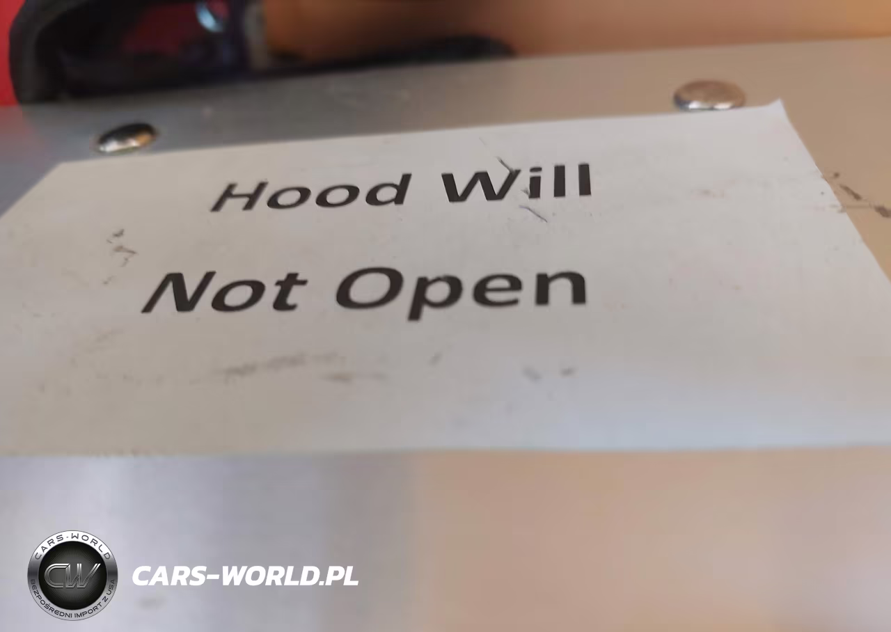 2019 Mercedes-Benz Sprinter 2500 Standard Roof V6 VIN:WD4PF0CD7KP070218 - 10