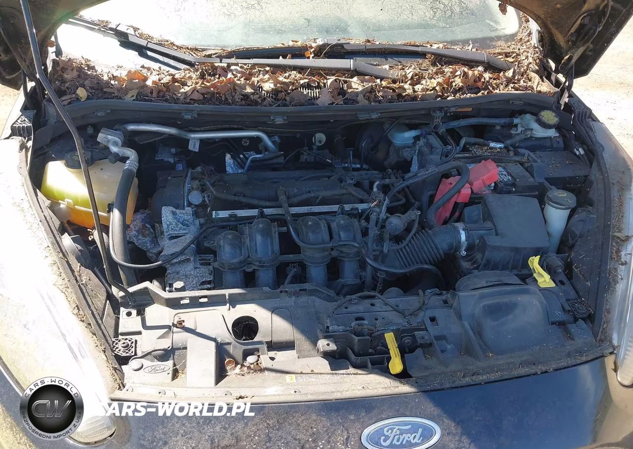 2014 Ford Fiesta Se VIN:3FADP4EJXEM131551 - 10