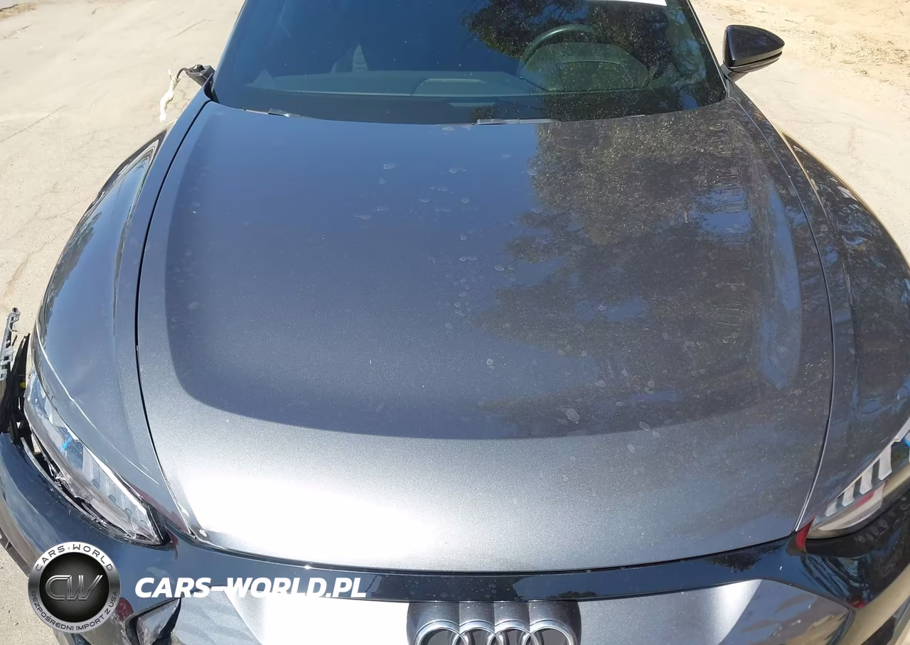 2023 Audi E-Tron Gt Premium Plus Quattro VIN:WAUCJBFW3P7005273 - 10