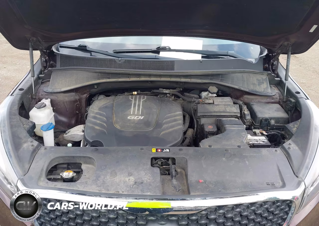 2017 Kia Sorento 3.3L Lx VIN:5XYPGDA52HG316727 - 10