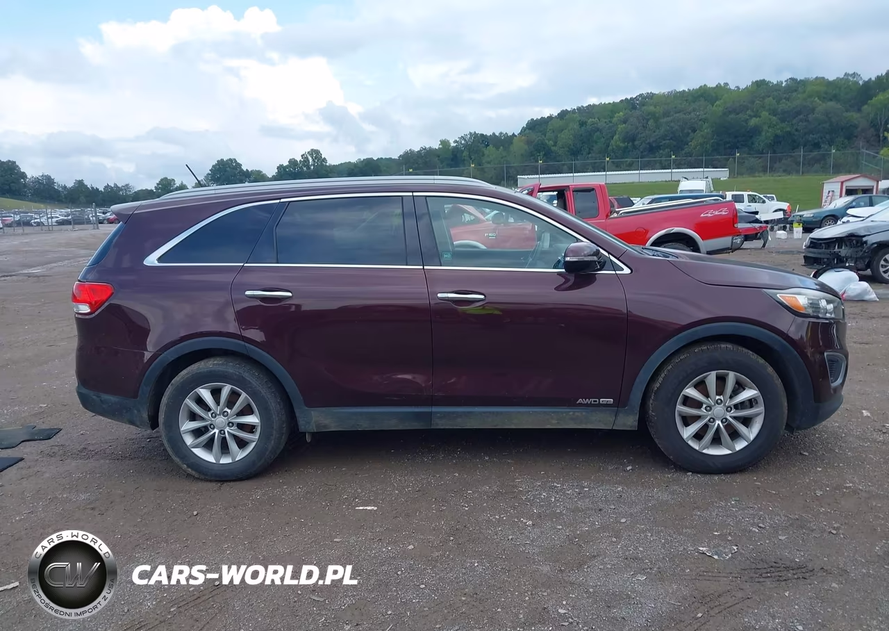 2017 Kia Sorento 3.3L Lx VIN:5XYPGDA52HG316727 - 13