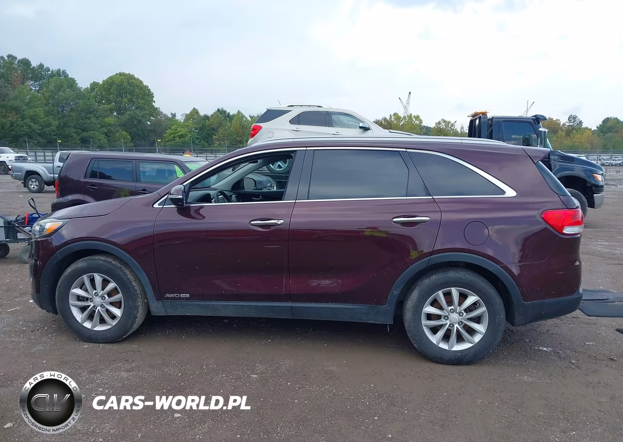 2017 Kia Sorento 3.3L Lx VIN:5XYPGDA52HG316727 - 14