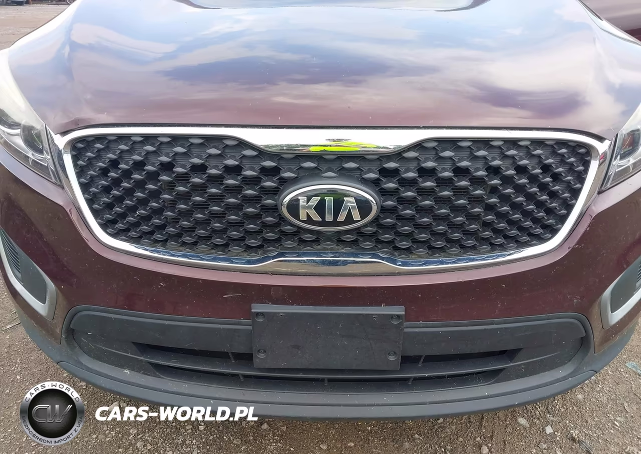 2017 Kia Sorento 3.3L Lx VIN:5XYPGDA52HG316727 - 6