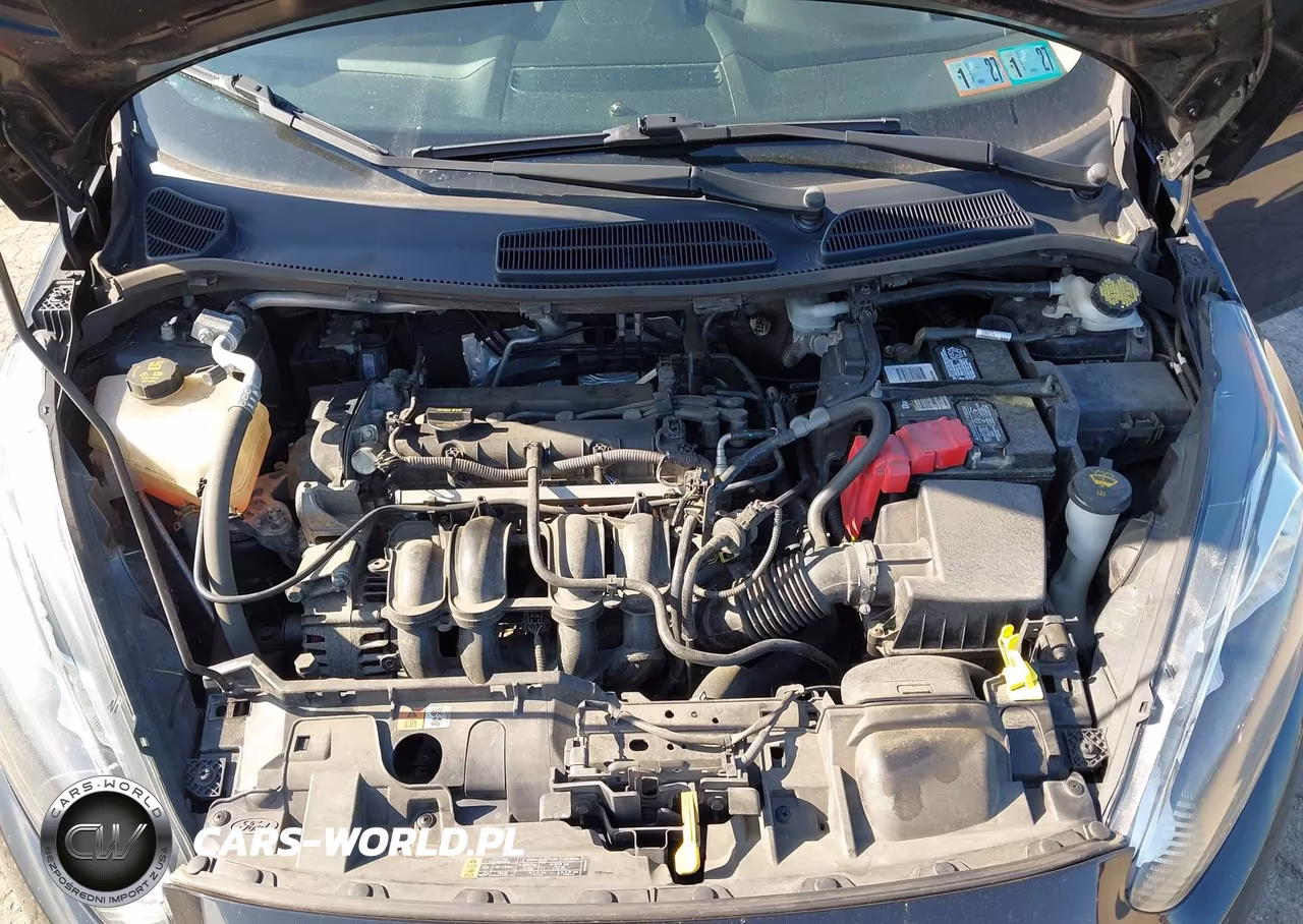 2016 Ford Fiesta Se VIN:3FADP4EJ9GM205903 - 10