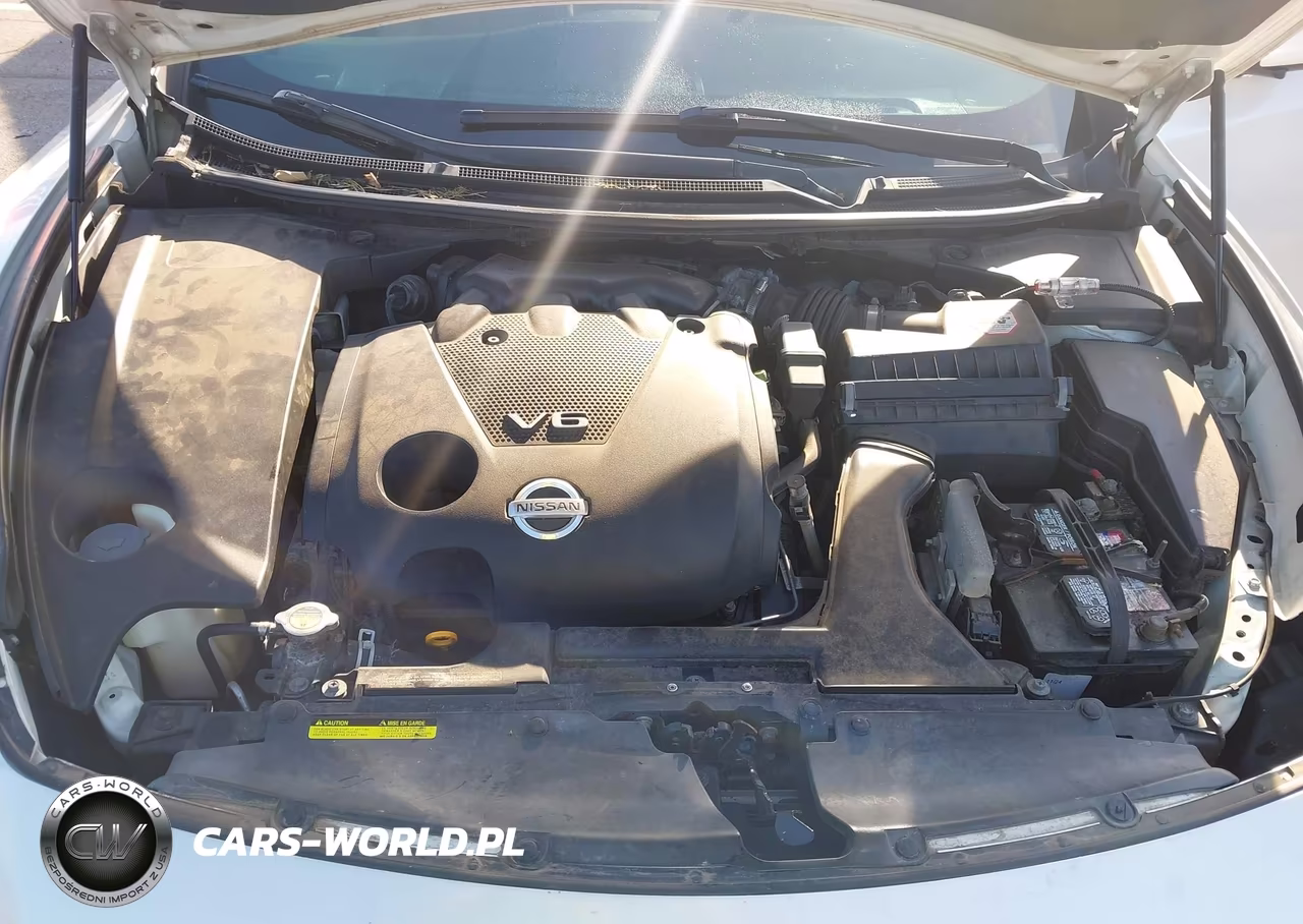 2010 Nissan Maxima S-Sv VIN:1N4AA5AP1AC866578 - 10