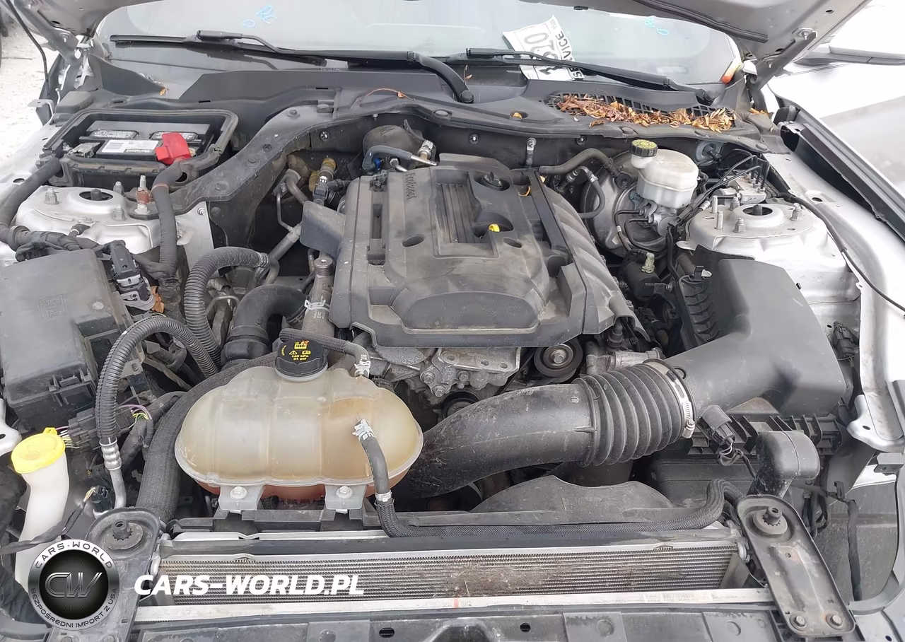 2019 Ford Mustang Ecoboost VIN:1FA6P8TH5K5133175 - 10