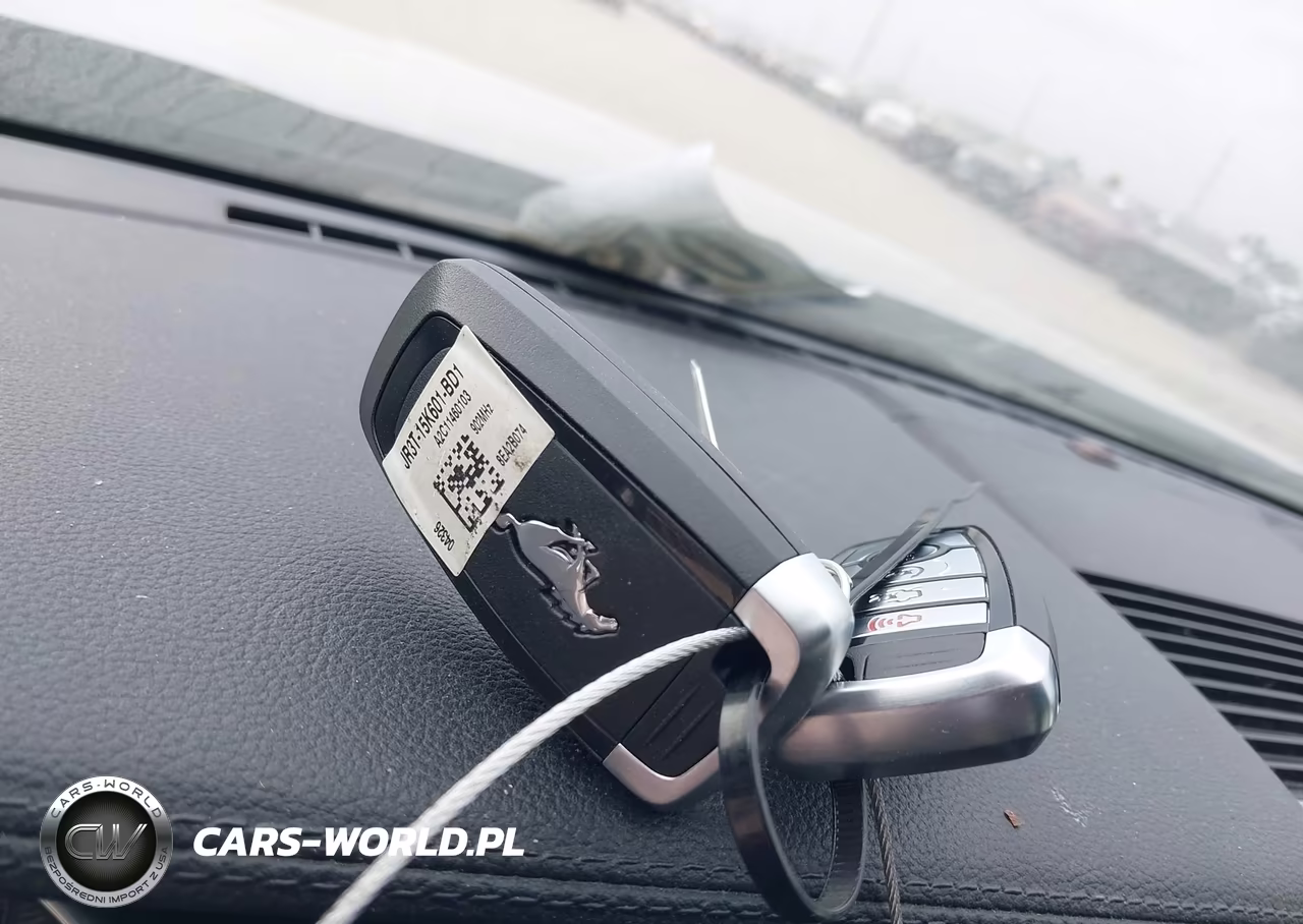 2019 Ford Mustang Ecoboost VIN:1FA6P8TH5K5133175 - 11