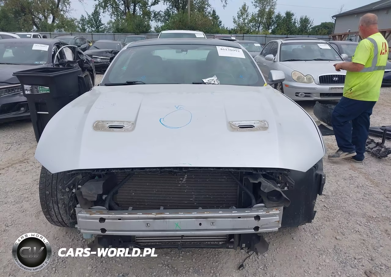 2019 Ford Mustang Ecoboost VIN:1FA6P8TH5K5133175 - 13