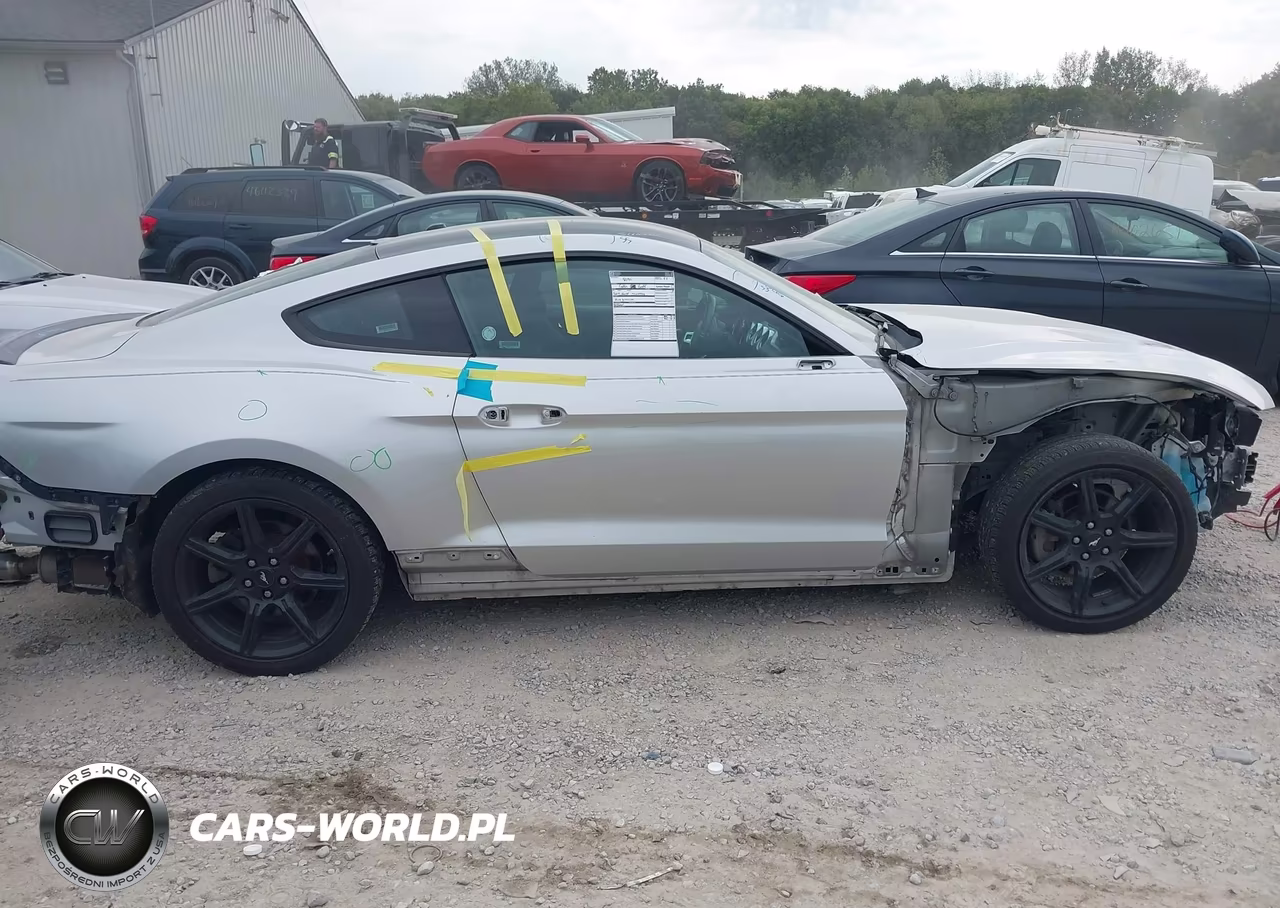 2019 Ford Mustang Ecoboost VIN:1FA6P8TH5K5133175 - 14