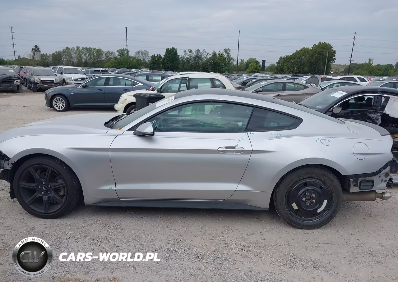 2019 Ford Mustang Ecoboost VIN:1FA6P8TH5K5133175 - 15