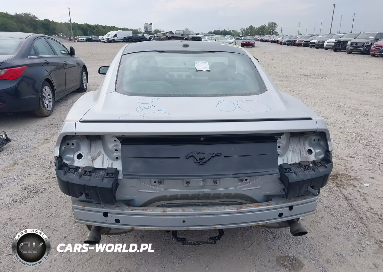 2019 Ford Mustang Ecoboost VIN:1FA6P8TH5K5133175 - 17