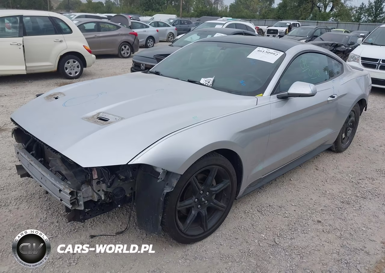 2019 Ford Mustang Ecoboost VIN:1FA6P8TH5K5133175 - 2
