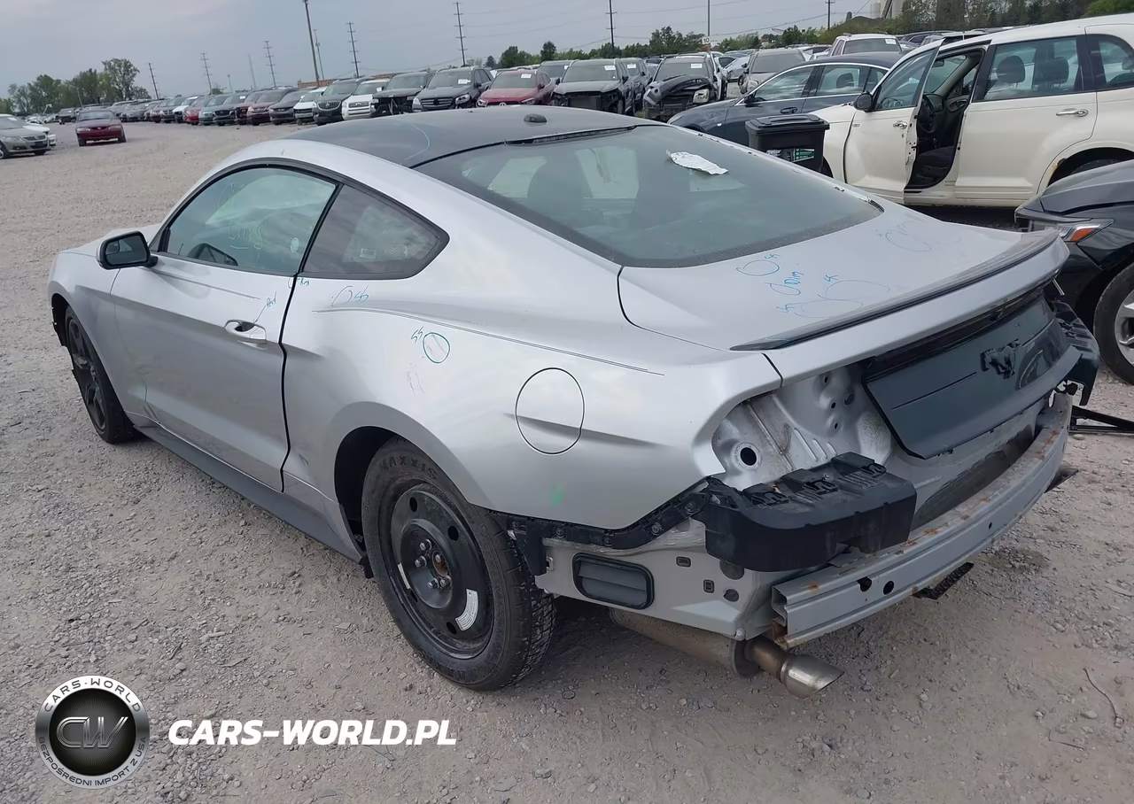 2019 Ford Mustang Ecoboost VIN:1FA6P8TH5K5133175 - 3