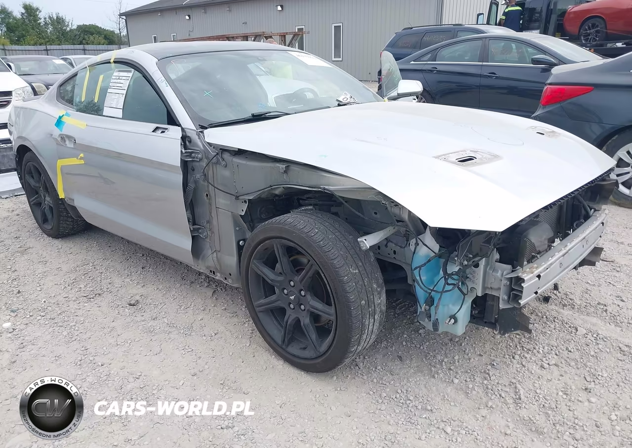 2019 Ford Mustang Ecoboost VIN:1FA6P8TH5K5133175 - 6