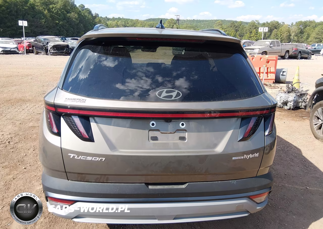 2025 Hyundai Tucson Hybrid Sel Convenience VIN:KM8JCDD17SU360654 - 17