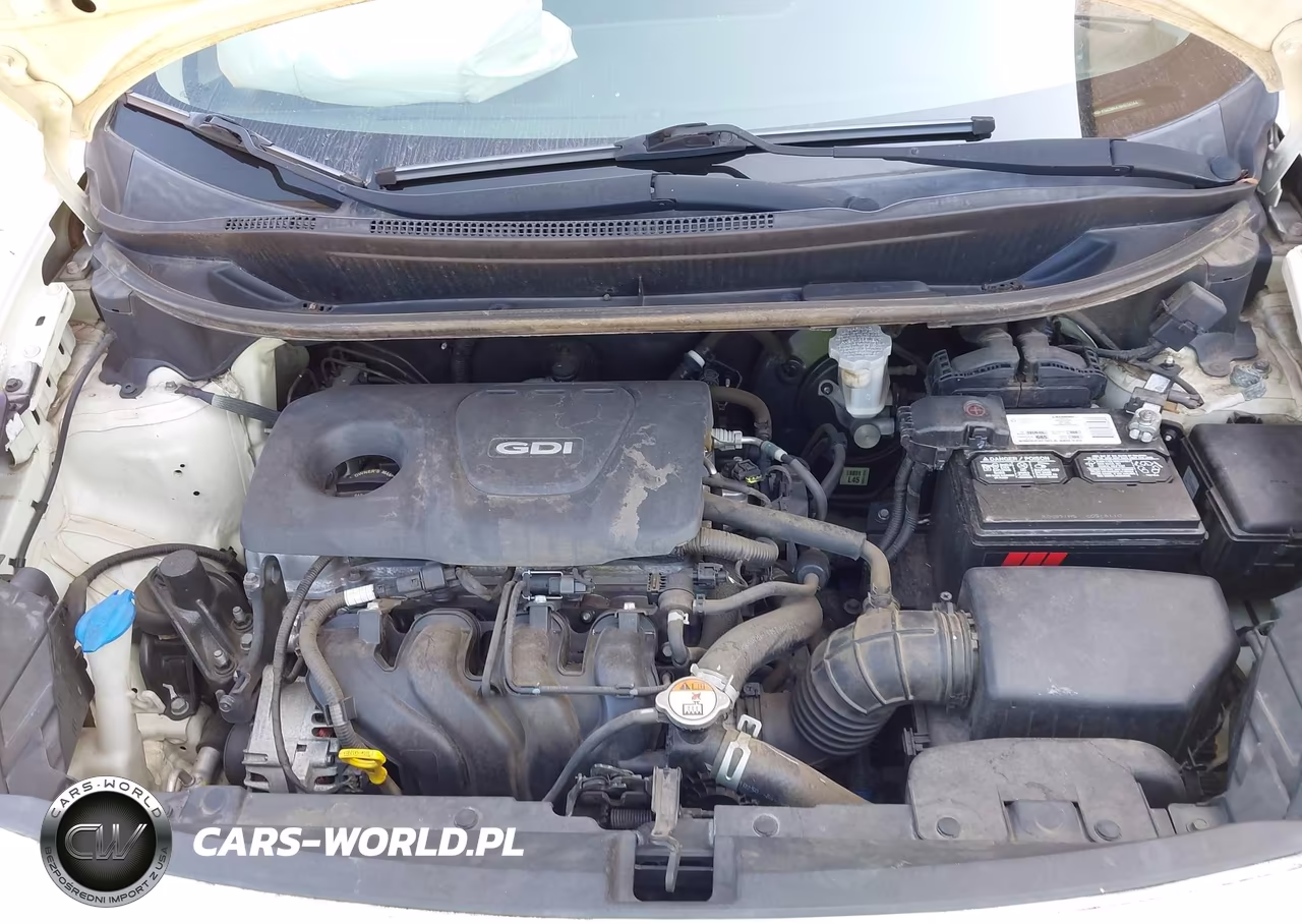 2017 Kia Rio Lx VIN:KNADM4A36H6114144 - 10