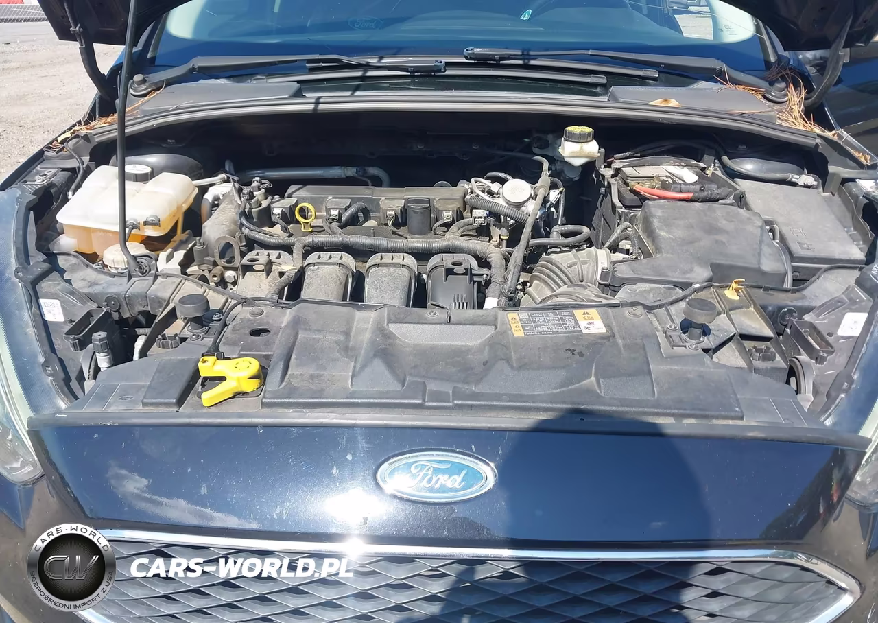2018 Ford Focus Sel VIN:1FADP3H24JL284422 - 10
