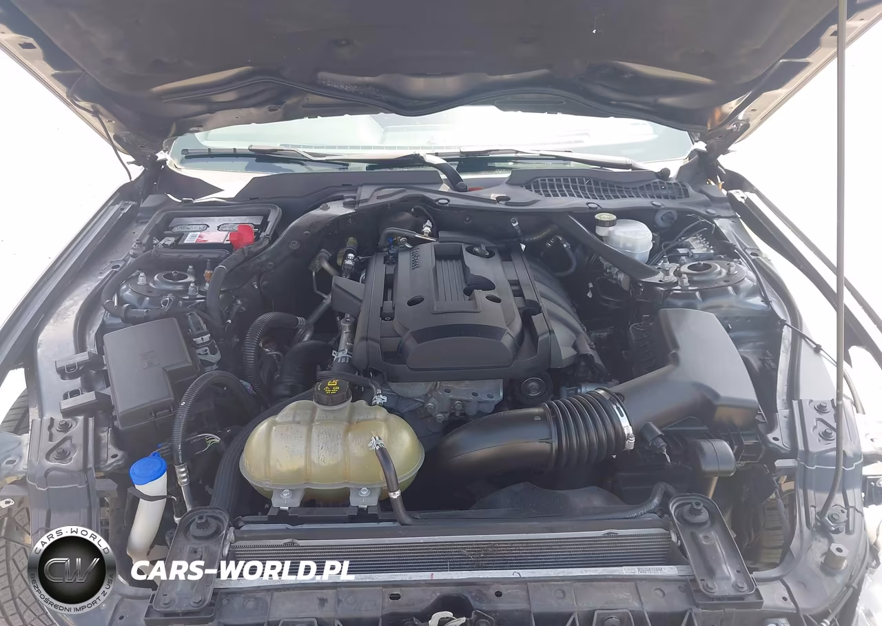 2020 Ford Mustang Ecoboost Premium VIN:1FATP8UH1L5138120 - 10