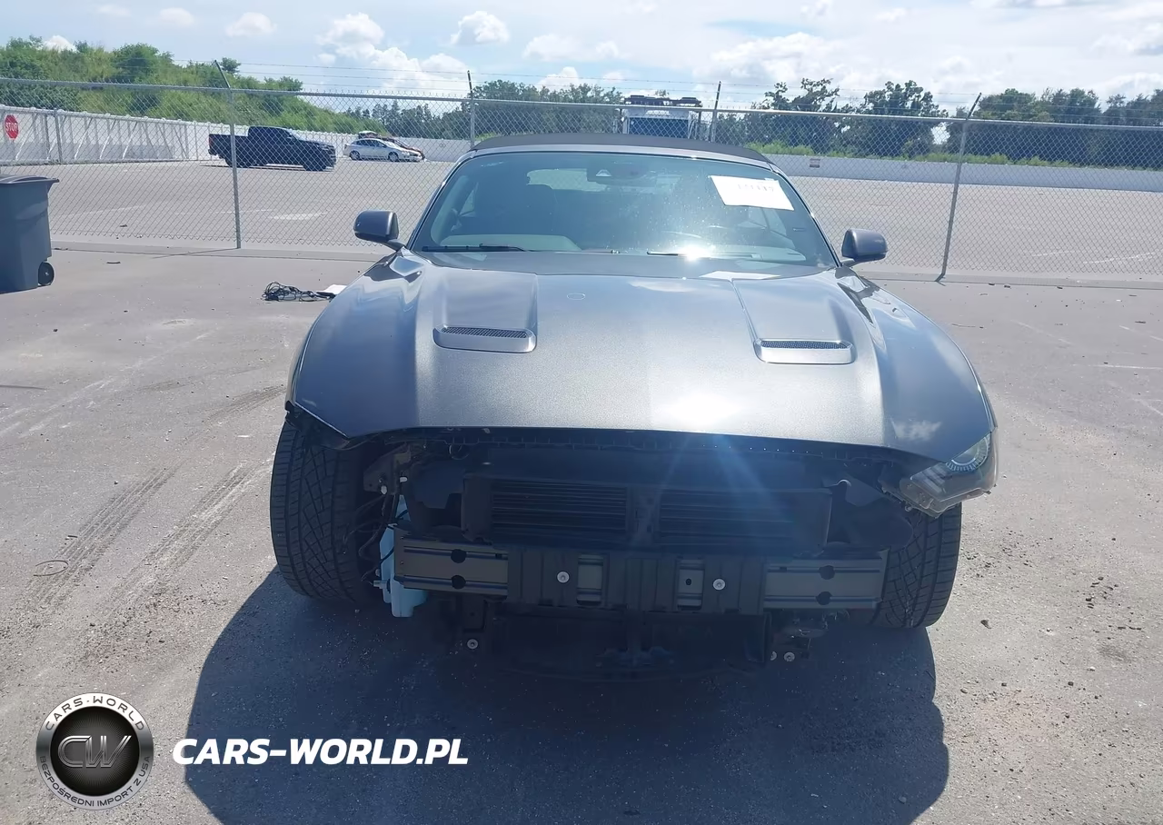 2020 Ford Mustang Ecoboost Premium VIN:1FATP8UH1L5138120 - 13