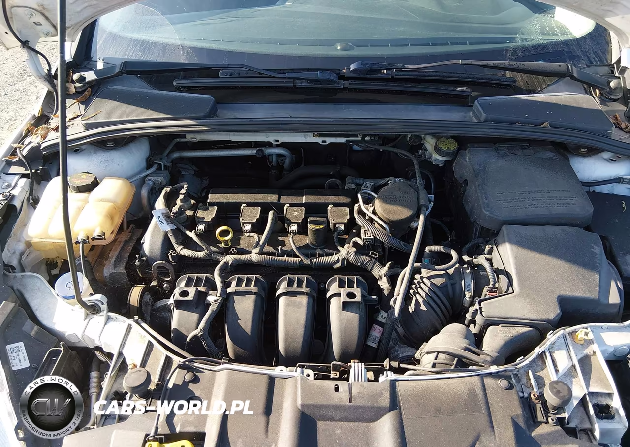 2015 Ford Focus Se VIN:1FADP3F20FL258667 - 10