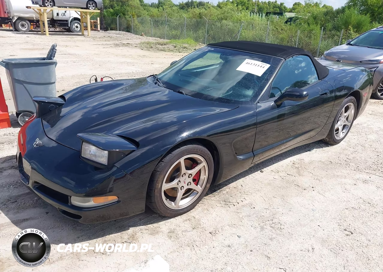 2003 Chevrolet Corvette VIN:1G1YY32G935103649 - 2