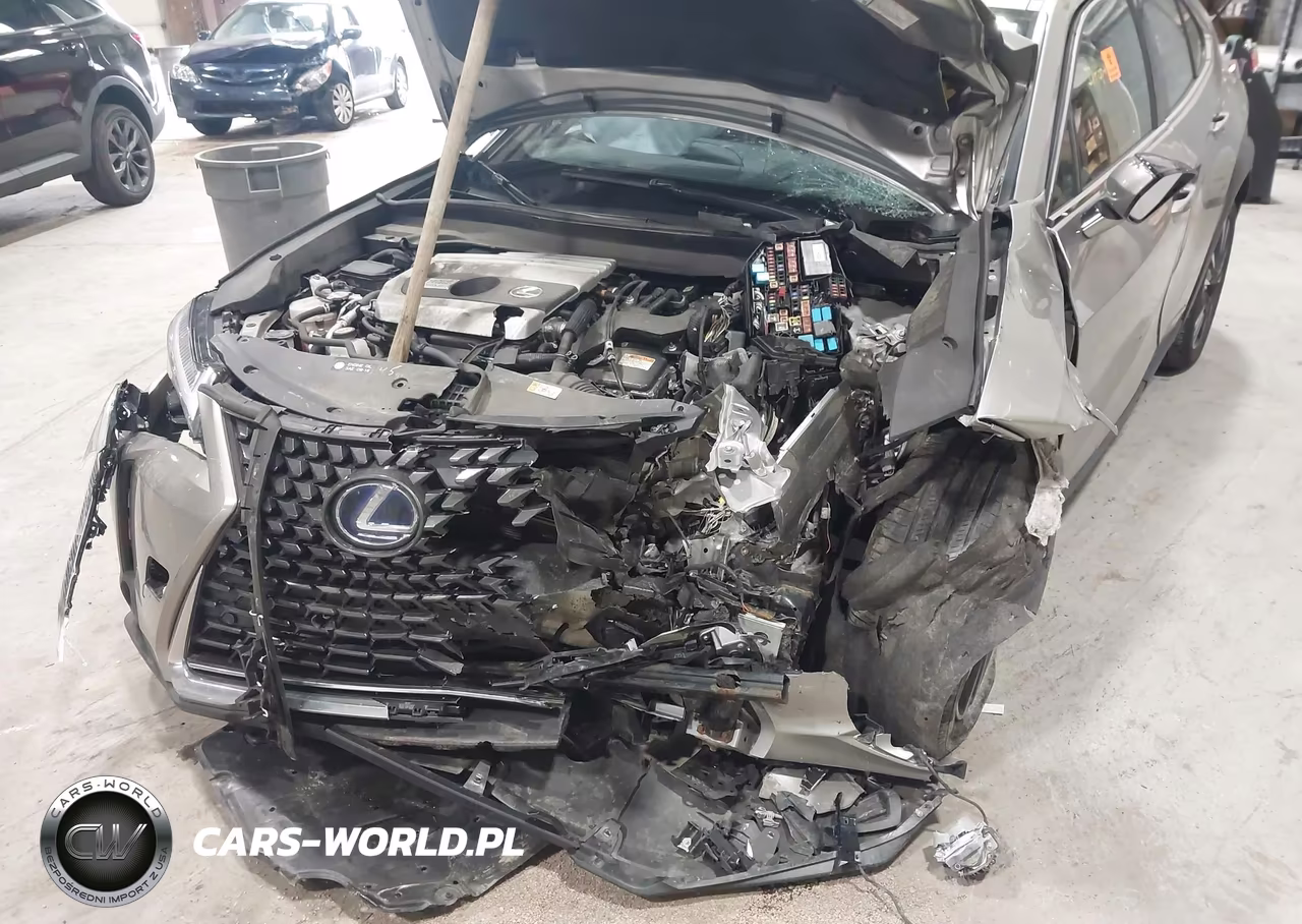 2021 Lexus Ux Ux 250H VIN:JTHP9JBH0M2052072 - 6