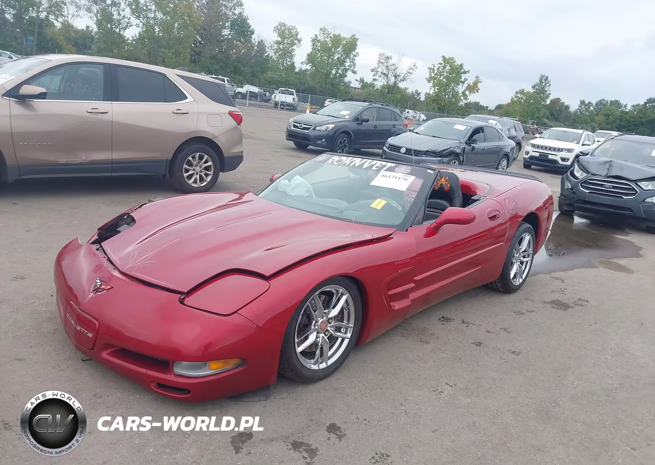 2004 Chevrolet Corvette VIN:1G1YY32G045105260 - 2