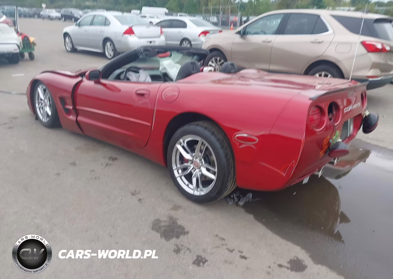2004 Chevrolet Corvette VIN:1G1YY32G045105260 - 3