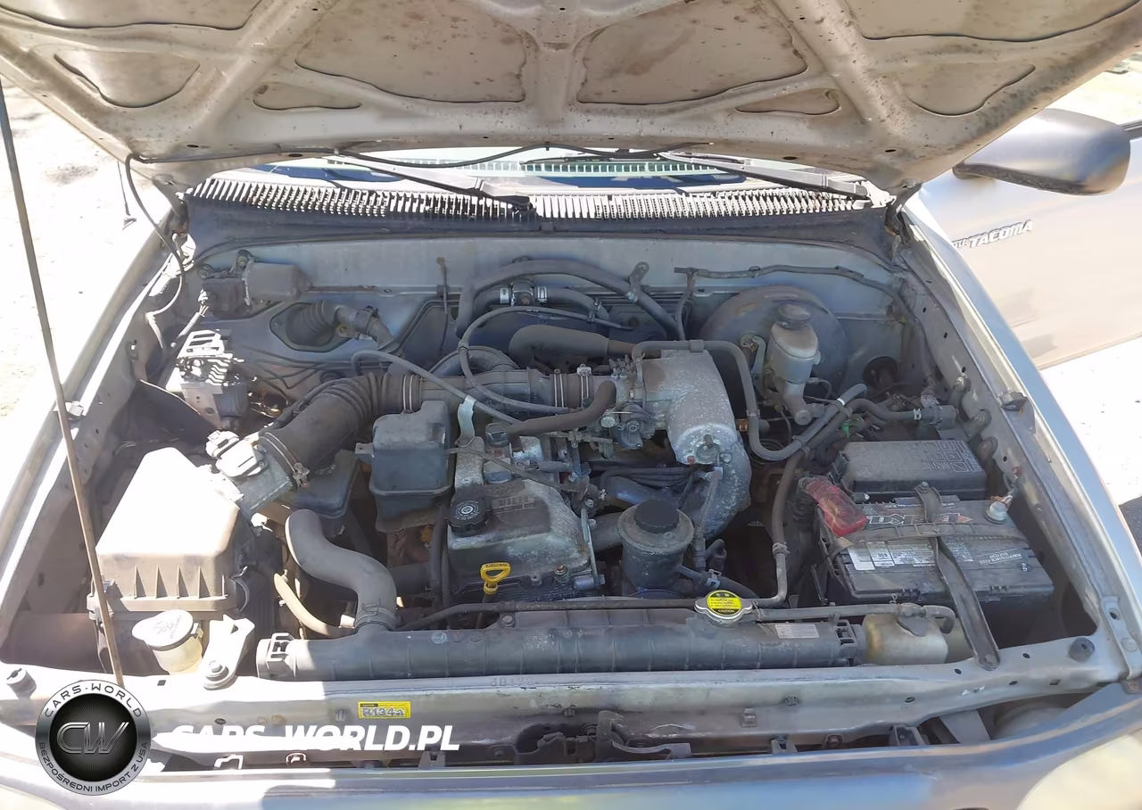 2004 Toyota Tacoma VIN:5TENL42N64Z443210 - 10