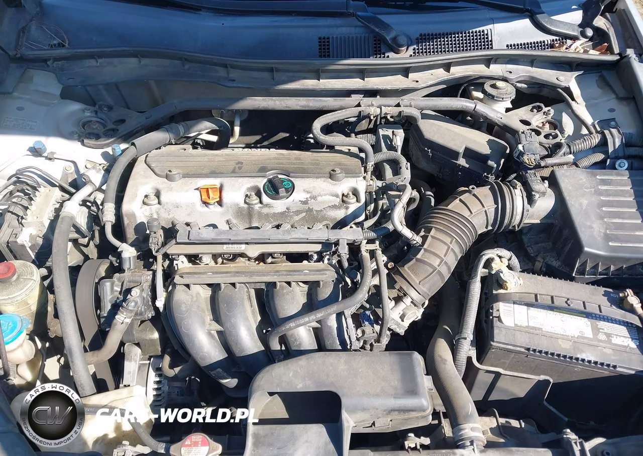 2010 Honda Accord 2.4 Ex-L VIN:1HGCP2F89AA110009 - 10