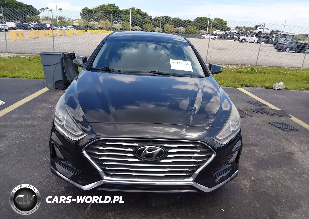 2019 Hyundai Sonata Se VIN:5NPE24AF4KH783498 - 12