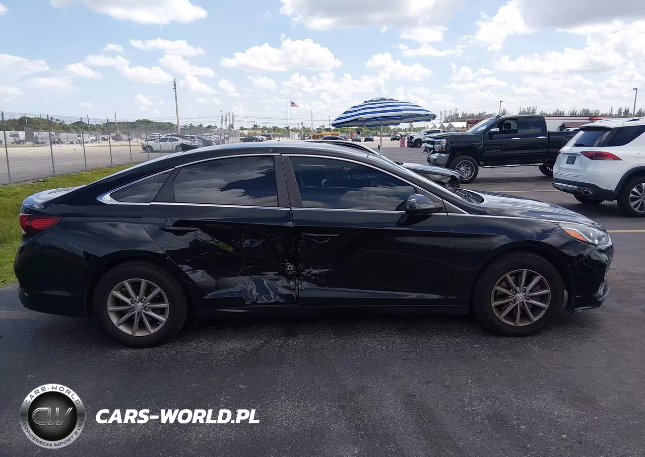 2019 Hyundai Sonata Se VIN:5NPE24AF4KH783498 - 13