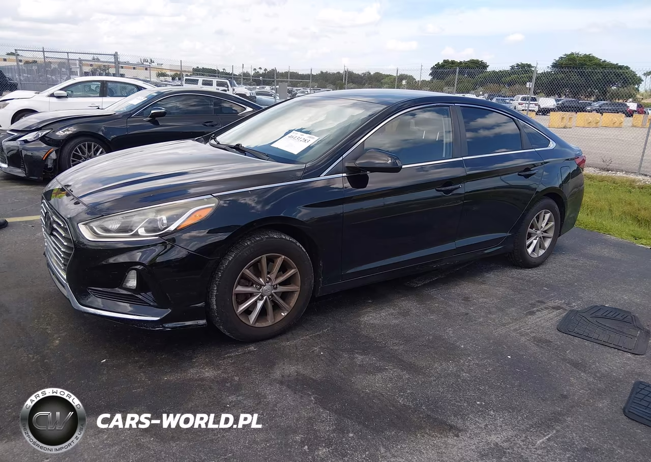 2019 Hyundai Sonata Se VIN:5NPE24AF4KH783498 - 2