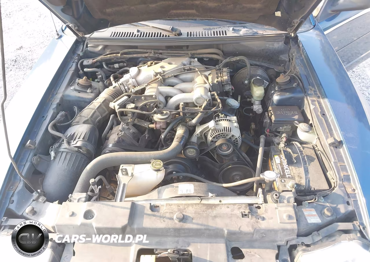 1999 Ford Mustang VIN:1FAFP4445XF151004 - 10