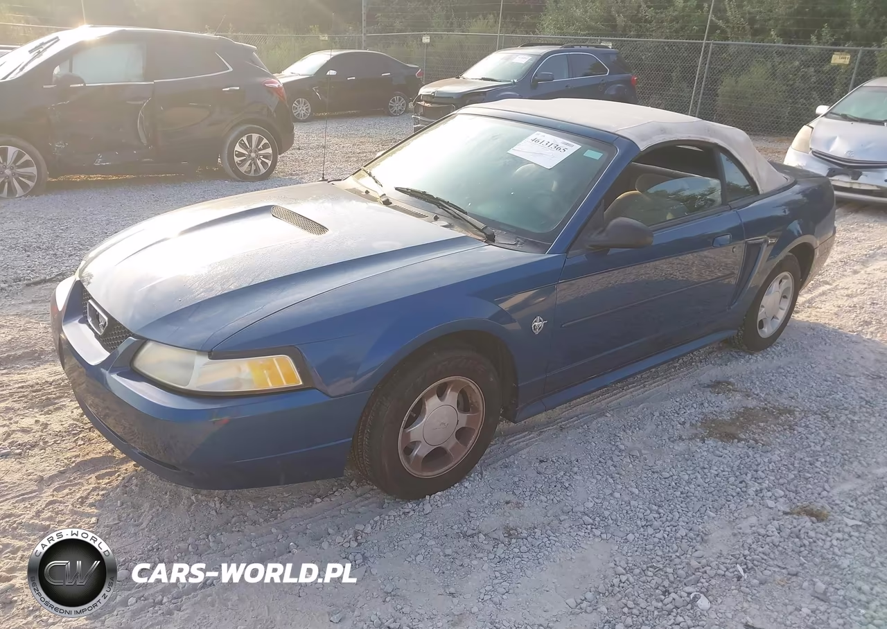 1999 Ford Mustang VIN:1FAFP4445XF151004 - 2