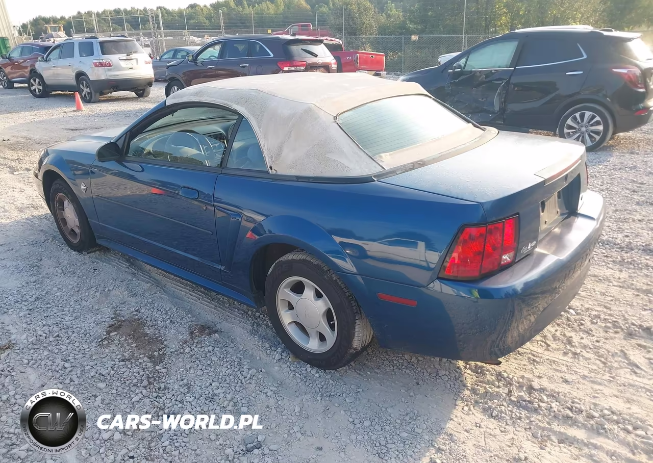 1999 Ford Mustang VIN:1FAFP4445XF151004 - 3