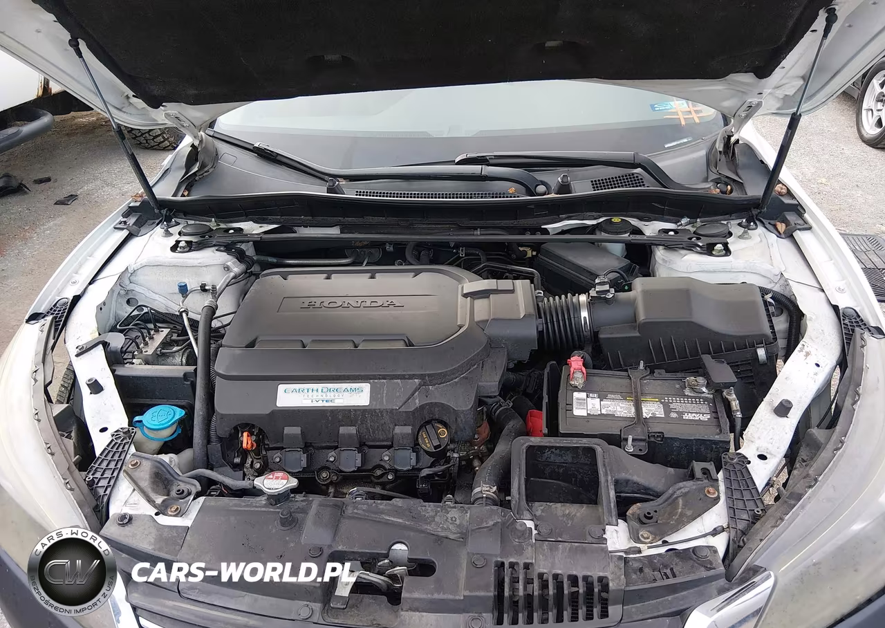 2014 Honda Accord Ex-L V-6 VIN:1HGCR3F81EA008242 - 10